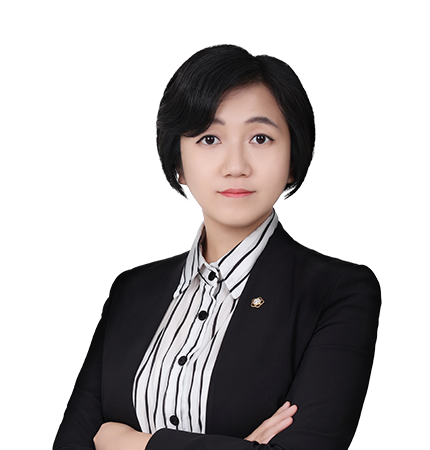김현지 수석변호사